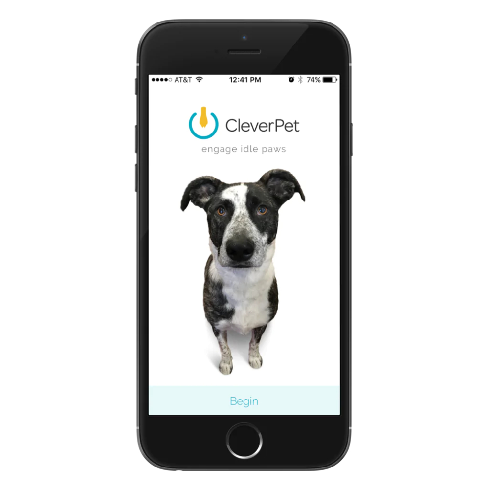 CleverPet Hub